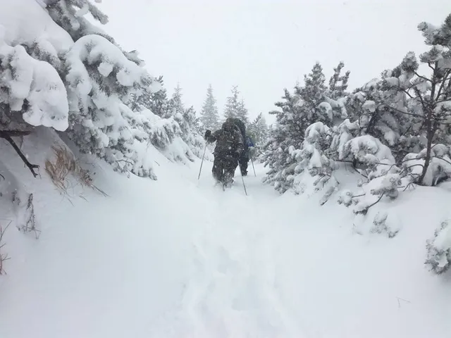 У Карпатах вже насипало понад метр снігу У Карпатах вже насипало понад метр снігу