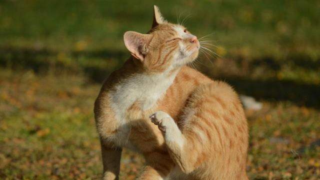 Погода на 2 ноября в Украине: потепление, но с ветром и дождем