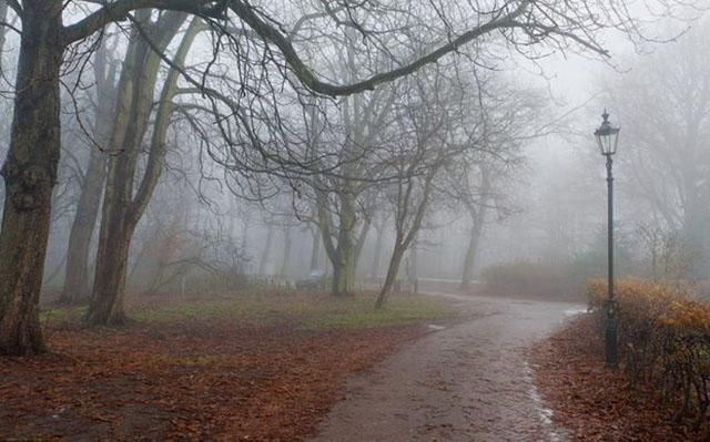 Погода 3 ноября в Украине: циклон дождей и слякоть Погода 3 ноября в Украине: циклон дождей и слякоть