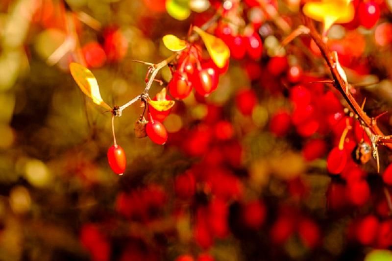 Погода 6 ноября в Украине: прогноз погоды от синоптиков Погода 6 ноября в Украине: прогноз погоды от синоптиков