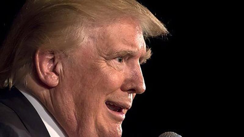 На теле американской собаки нашли скрытый портрет Трампа: курьезное фото На теле американской собаки нашли скрытый портрет Трампа: курьезное фото