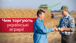 Соняшникова олія проти морепродуктів: що купують та продають українські аграрії