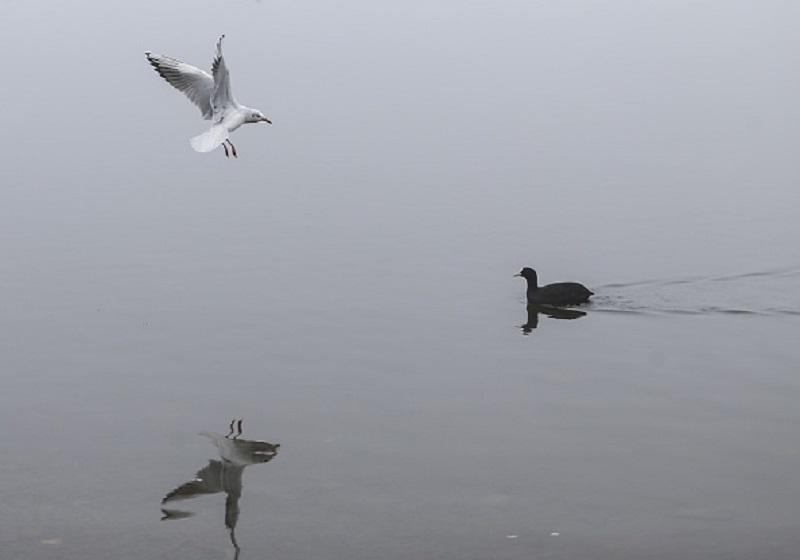 Погода 8 ноября в Украину движется холод