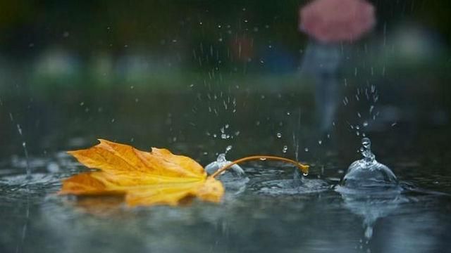 Прогноз погоды на 12 ноября в Украине от синоптиков Прогноз погоды на 12 ноября в Украине от синоптиков