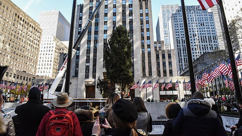 У Нью-Йорку встановили головну новорічну ялинку США: з'явились фото У Нью-Йорку встановили головну новорічну ялинку США: з'явились фото