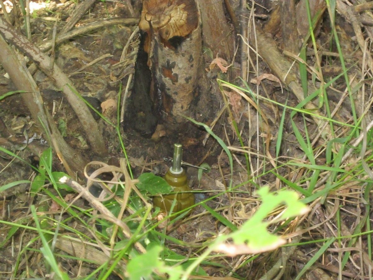В Донецкой области мирная жительница подорвалась на растяжке В Донецкой области мирная жительница подорвалась на растяжке