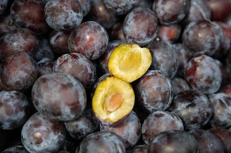 Львівський суддя сконфузився зі сливами: соцмережі в захваті Львівський суддя сконфузився зі сливами: соцмережі в захваті