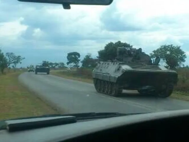 Зімбабве, переворот, зброя, армія Зімбабве, переворот, зброя, армія