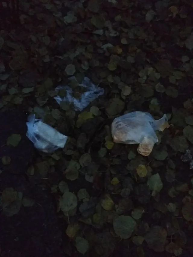 У Києві на голову викидають сміття У Києві на голову викидають сміття