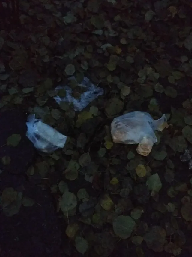 У Києві на голову викидають сміття