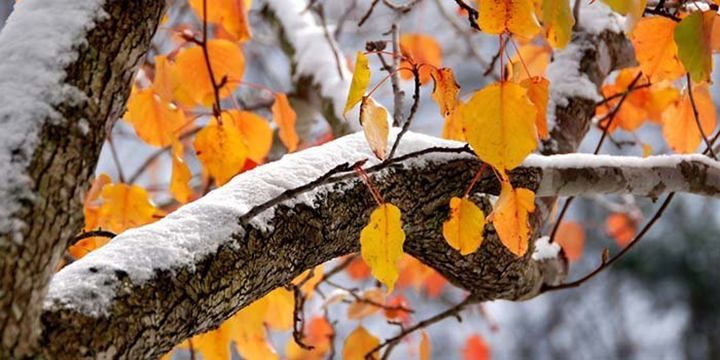 Погода на 20 ноября в Украине - прогноз погоды Погода на 20 ноября в Украине - прогноз погоды