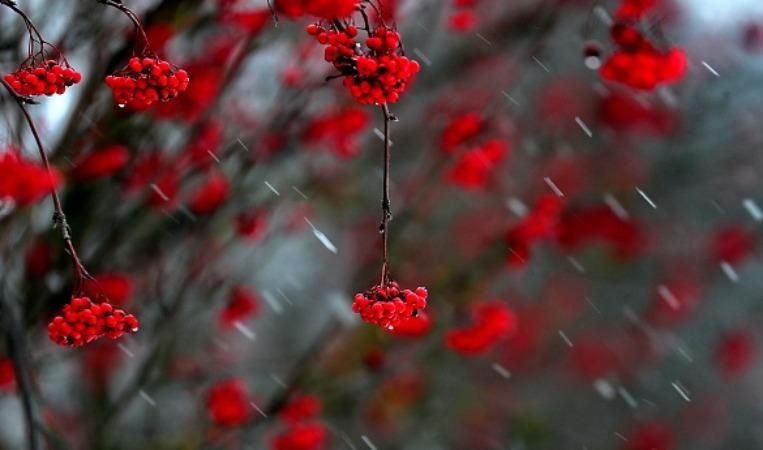 Прогноз погоды на 18 ноября в Украине - дожди Прогноз погоды на 18 ноября в Украине - дожди