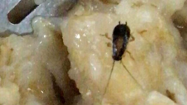 Тараканы и черви: сети шокировали фото питания для военных Тараканы и черви: сети шокировали фото питания для военных