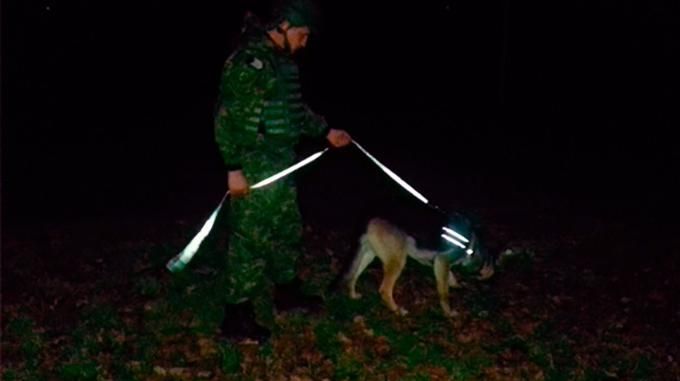 Поліцейська вівчарка миттєво знайшла ймовірного вбивцю на Сумщині: фото героя