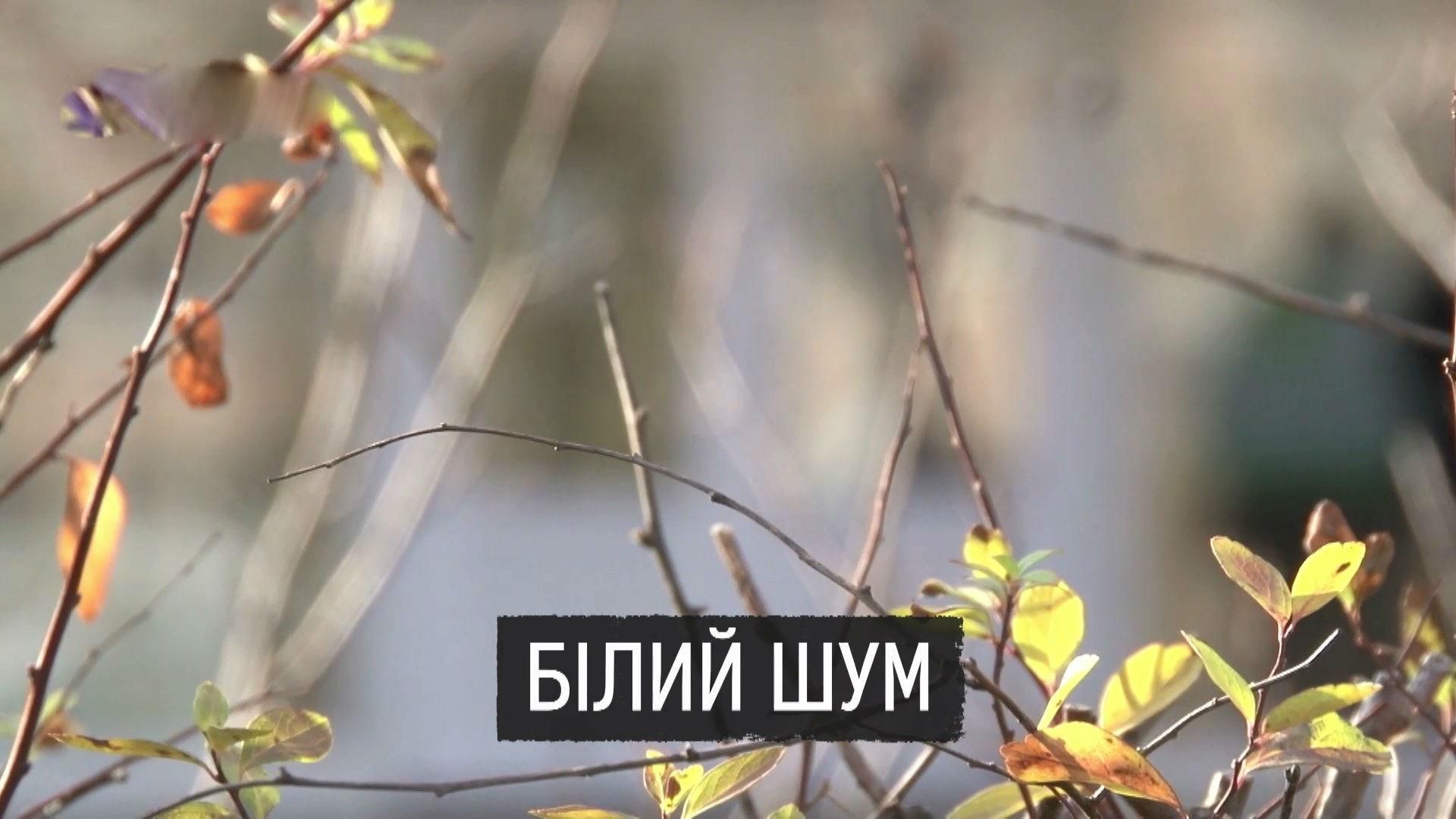 Чому лікарі-антикорупціонери втратили роботу і піддаються нападам Чому лікарі-антикорупціонери втратили роботу і піддаються нападам