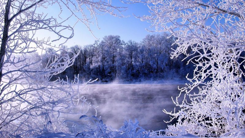 Погода на 24 листопада в Україні: морози до -10 градусів