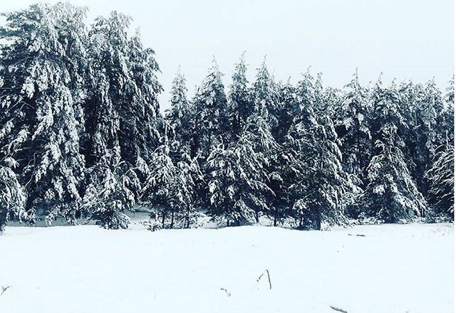 Луганщину засыпало толстым слоем снега: в сети публикуют красивые фото