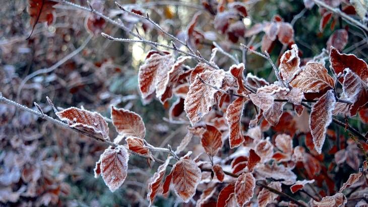 Погода на 27 ноября в Украине: прогноз от синоптиков Погода на 27 ноября в Украине: прогноз от синоптиков