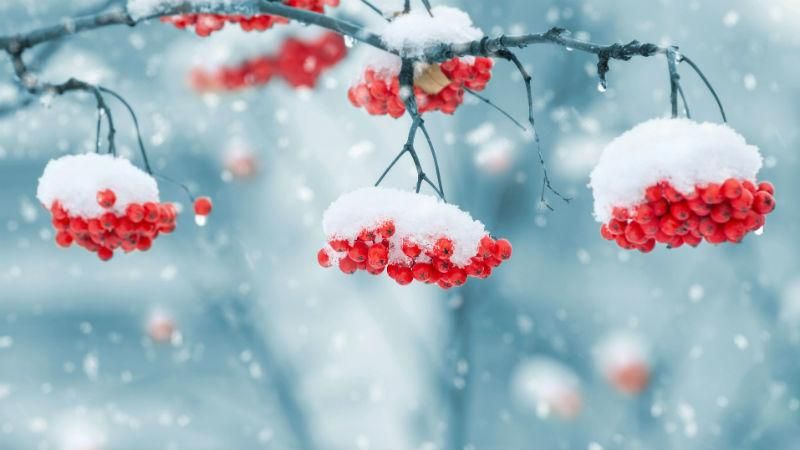 Зима 2017-2018 в Украине: какой будет зима – прогноз метеоролога