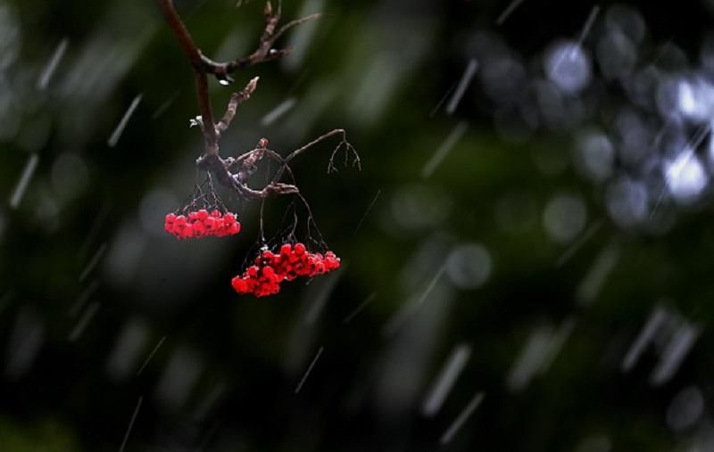 Погода 25 ноября в Украине: туманы и морозы Погода 25 ноября в Украине: туманы и морозы