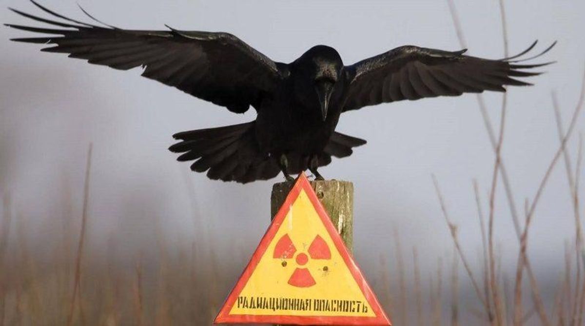 Что нужно знать о загадочном выбросе радиации на Урале и угрожает ли он Украине Что нужно знать о загадочном выбросе радиации на Урале и угрожает ли он Украине
