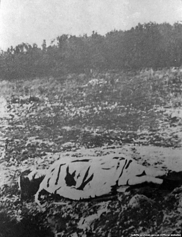 Голодомор Голодомор