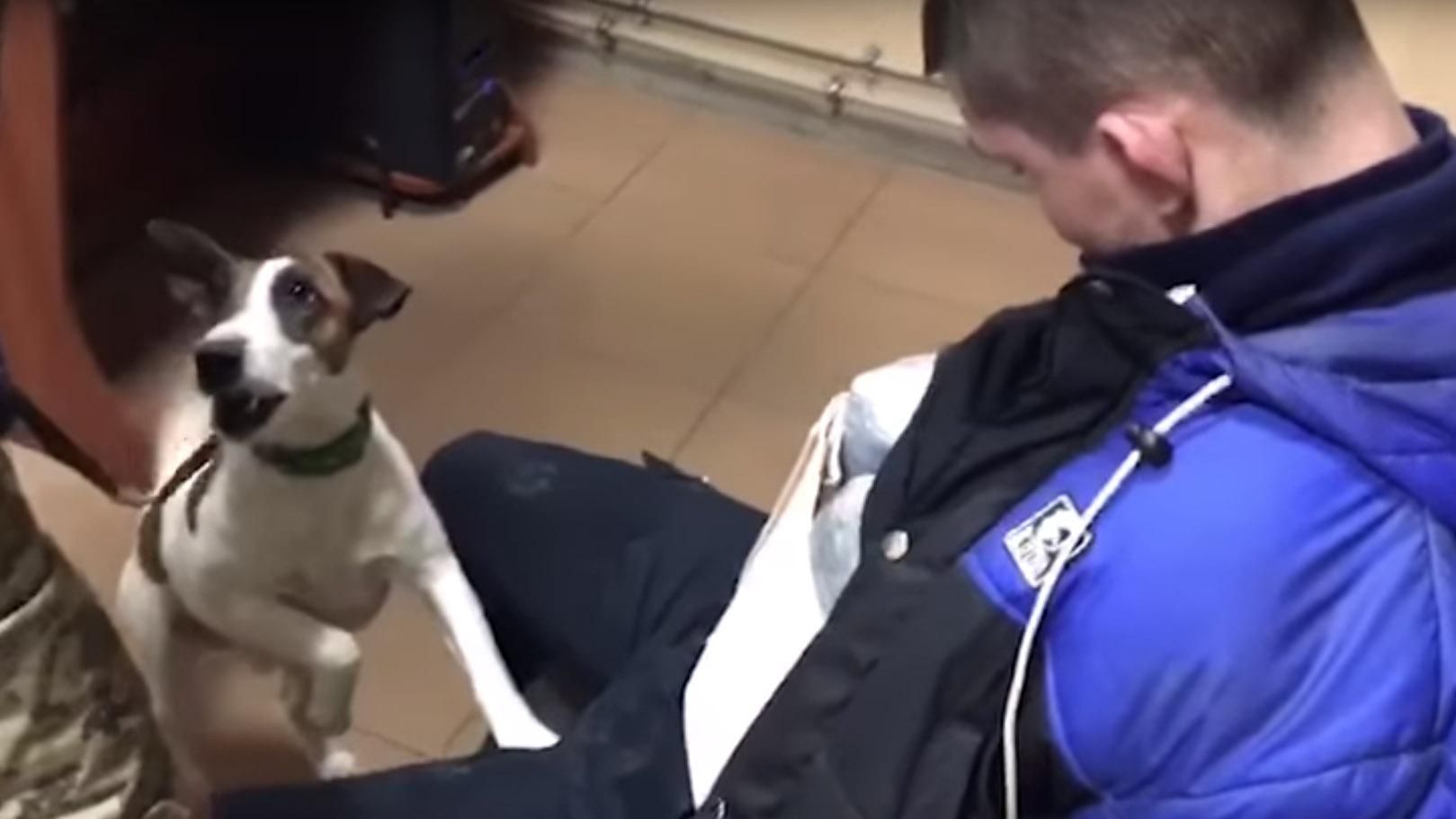 На Харьковщине пёс сорвал попытку провоза наркотиков