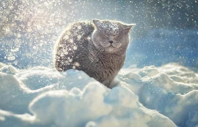 Погода на 4 декабря в Украине - прогноз от синоптиков Погода на 4 декабря в Украине - прогноз от синоптиков