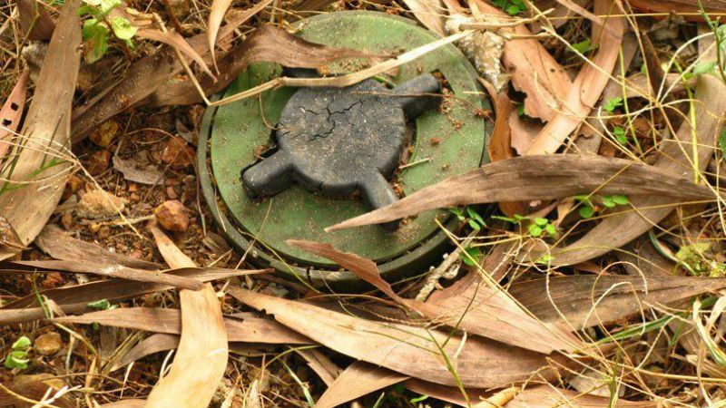 В освобожденном поселке Гладосово нашли компромат на боевиков В освобожденном поселке Гладосово нашли компромат на боевиков