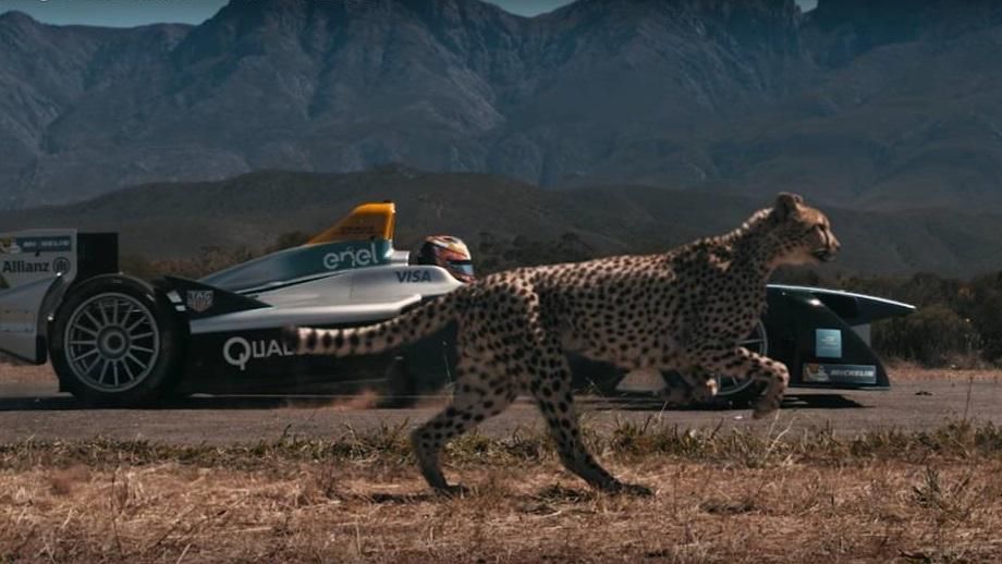Электромобиль против гепарда: кто быстрее