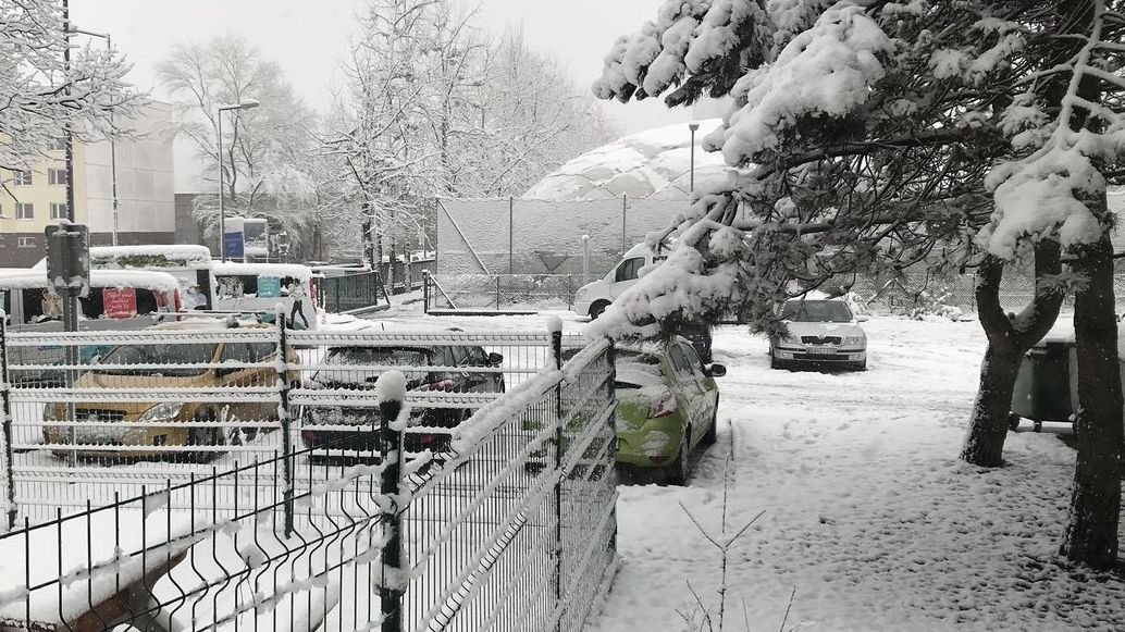 Сильні снігопади паралізували життя в країні-сусідці України  