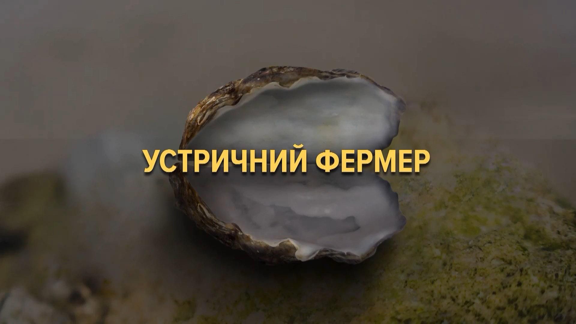 Російські вчені заборонили фермеру вирощувати молюсків через "небезпеку обороноздатності РФ"