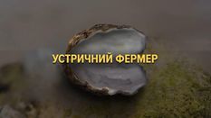 Российские ученые запретили фермеру выращивать моллюсков из-за "опасности обороноспособности РФ" Российские ученые запретили фермеру выращивать моллюсков из-за "опасности обороноспособности РФ"