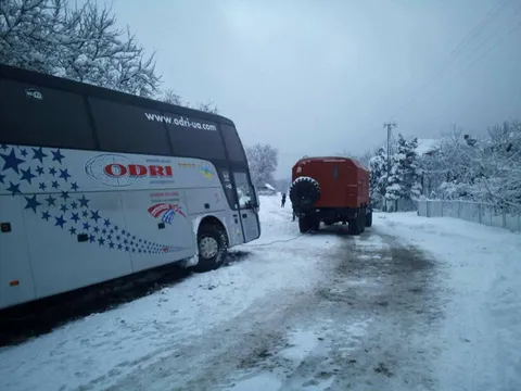 ДТП на Закарпатті