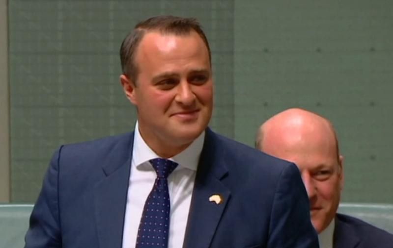 Австралійський політик зробив пропозицію руки й серця своєму колезі просто у парламенті

