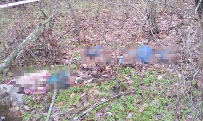 У лісосмузі на Одещині знайшли скелети двох дітей і жінки