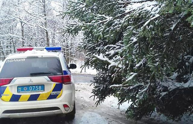 Головну Новорічну ялинку України не пускають до Києва