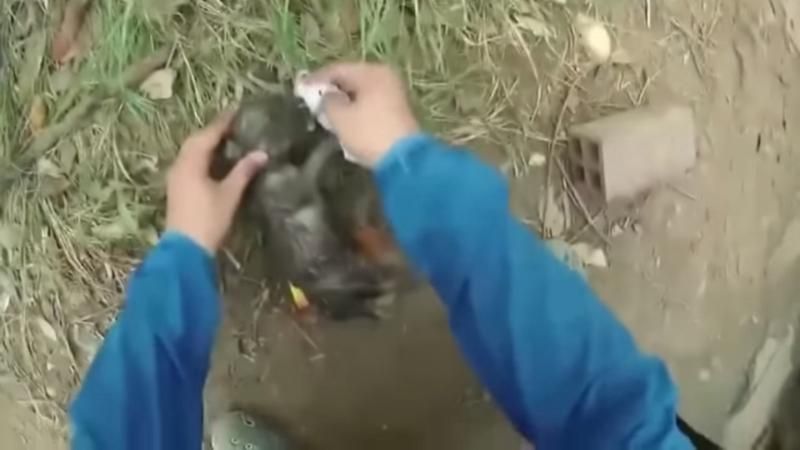 В'єтнамець витягнув з ріки цуценя й пластиковою пляшкою зробив йому "штучне дихання": відео
В'єтнамець витягнув з ріки цуценя й пластиковою пляшкою зробив йому "штучне дихання": відео