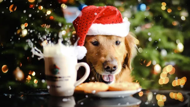 2018 – рік жовтої земляної собаки 2018 – рік жовтої земляної собаки