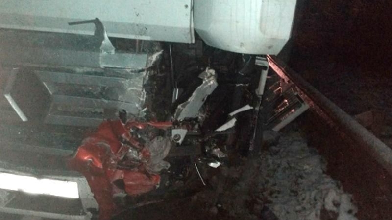 Сім’я іноземців потрапила в аварію на Житомирщині: є загиблі Сім’я іноземців потрапила в аварію на Житомирщині: є загиблі