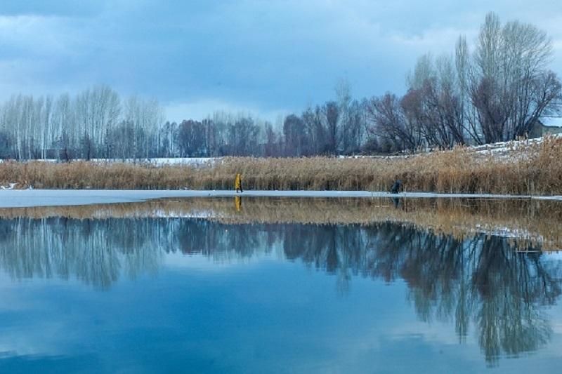 Погода на 8 грудня в Україні: тепло та без дощів