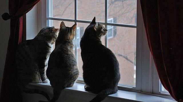 Погода на 11 грудня в Україні - прогноз від синоптиків Погода на 11 грудня в Україні - прогноз від синоптиків