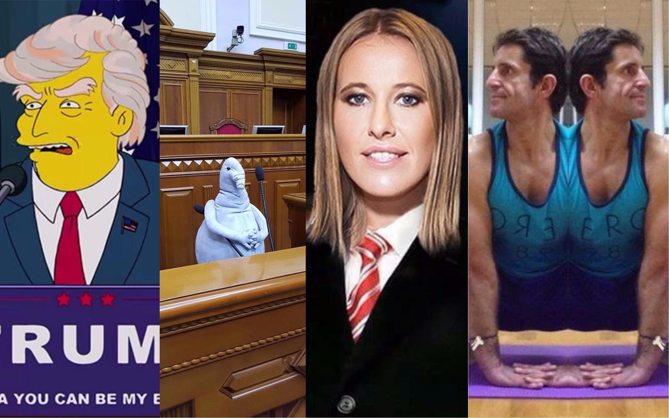 Итоги 2017 года: курьезы и ляпы 2017 - видео и фото Итоги 2017 года: курьезы и ляпы 2017 - видео и фото