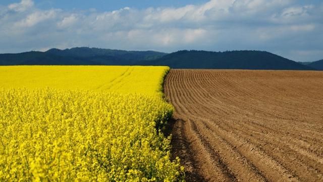 Найсерйозніша зрада, – Геращенко про голосування депутатів