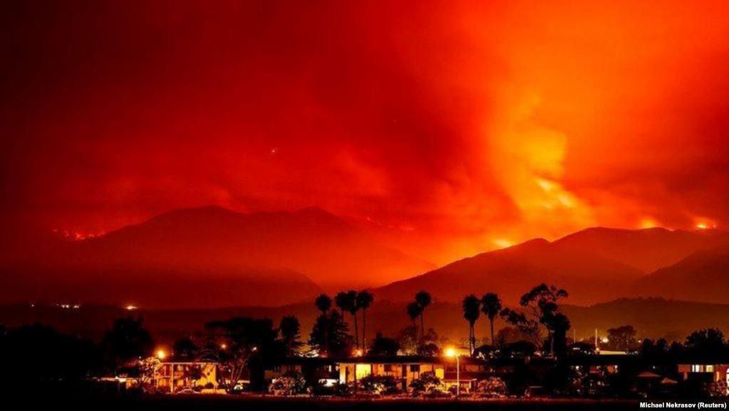 Американец героически спас кролика из огненной ловушки: видео Американец героически спас кролика из огненной ловушки: видео