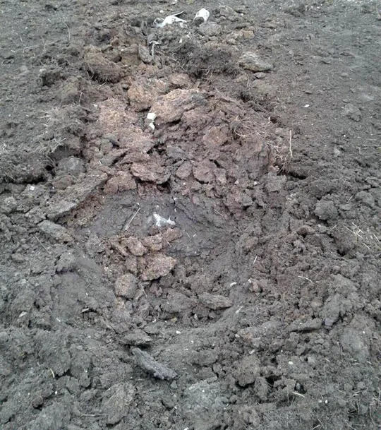 Снаряди з Снаряди з