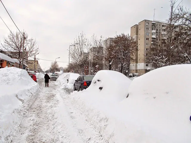 Аномальні морози у Європі: Бухарест завалило снігом