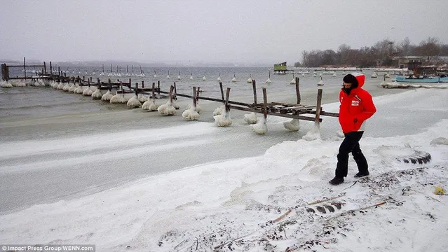 У Болгарії замерзло Чорне море