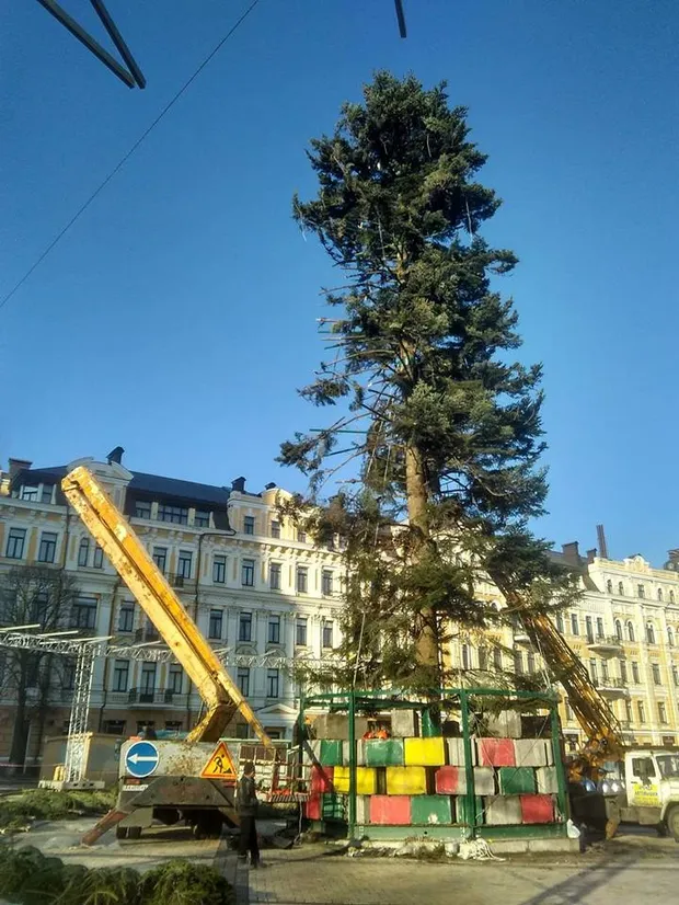 Київ, ялинка, Новий рік Київ, ялинка, Новий рік