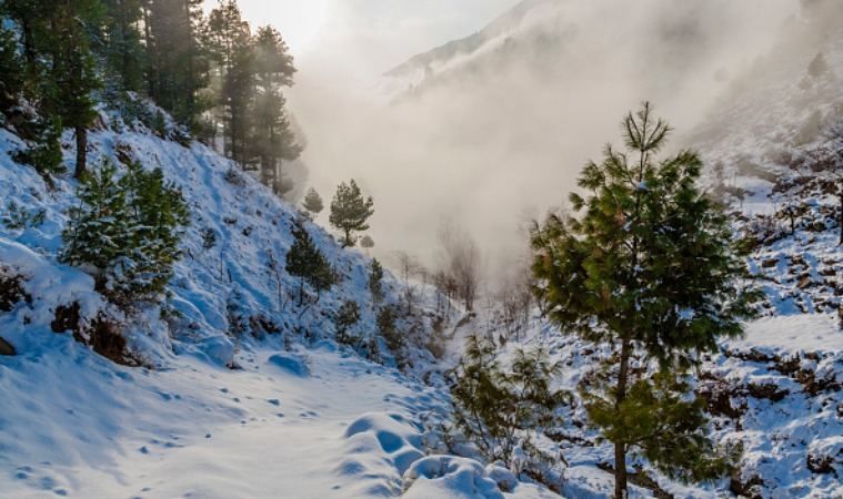 У ДСНС попереджають про небезпеку сходження лавин у Карпатах У ДСНС попереджають про небезпеку сходження лавин у Карпатах